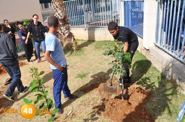 trees shamela 0321 (28).JPG